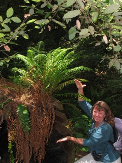 Diane with fern